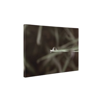 Un strop de apa - Tablou Canvas - 35x45 cm Un strop de apa - Tablou Canvas - 35x45 cm