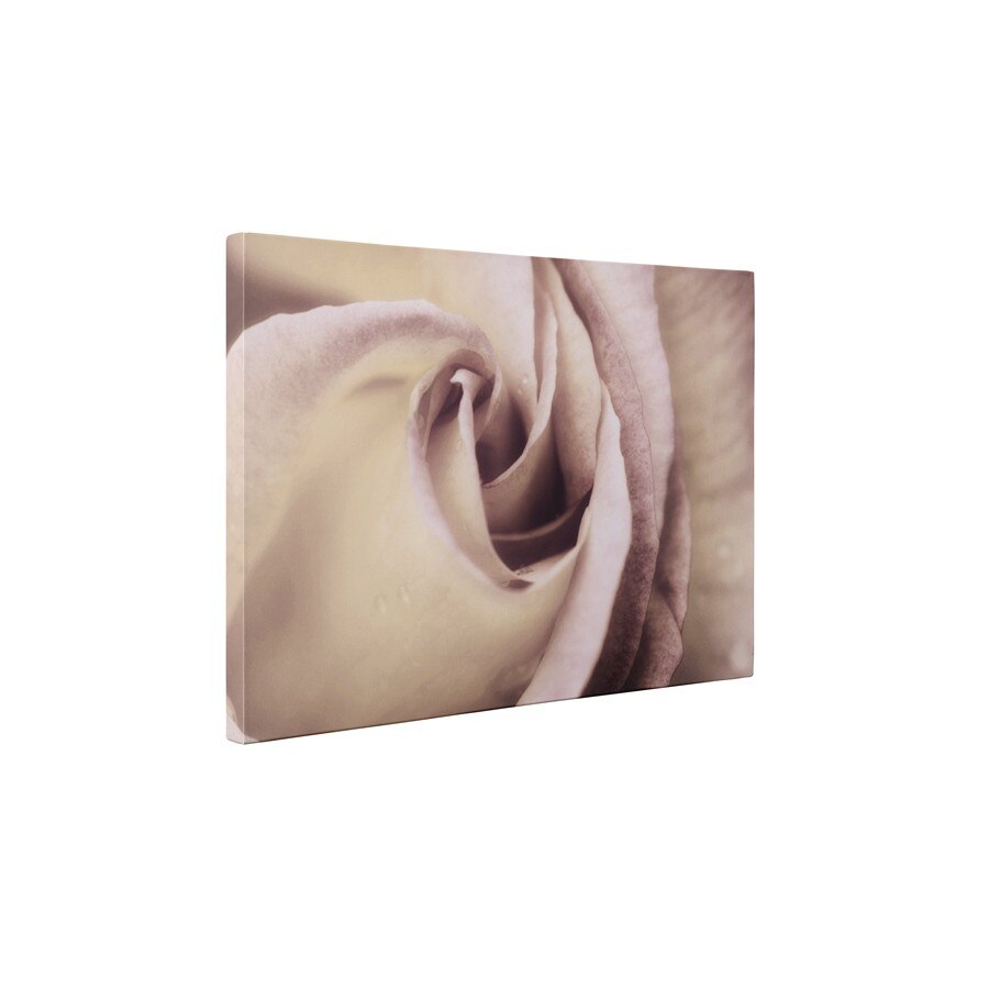 Trandafirul elegant - Tablou Canvas - 45x60 cm