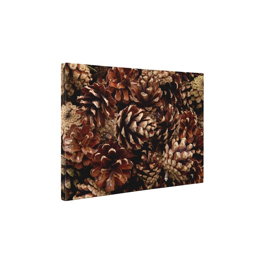 Multime de conuri - Tablou Canvas - 60x80 cm