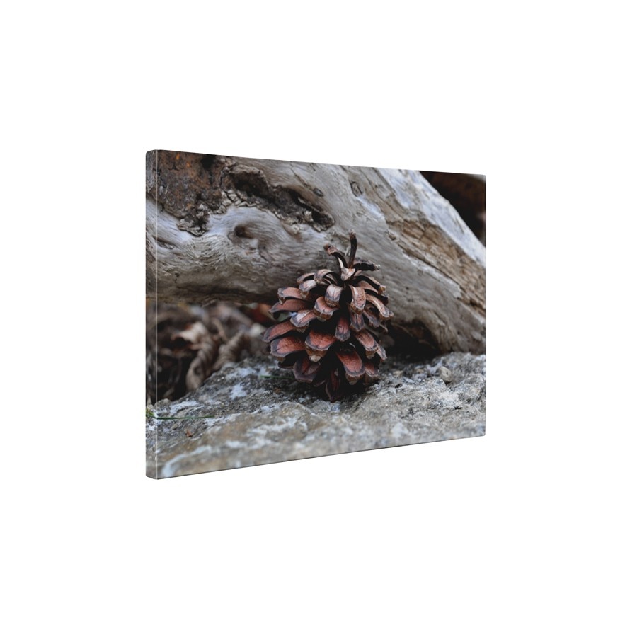 Conul singuratic - Tablou Canvas - 45x60 cm