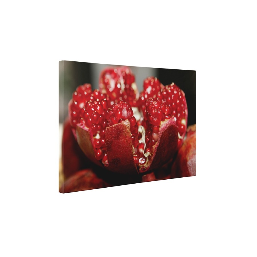 Rodie desfacuta - Tablou Canvas - 65x85 cm