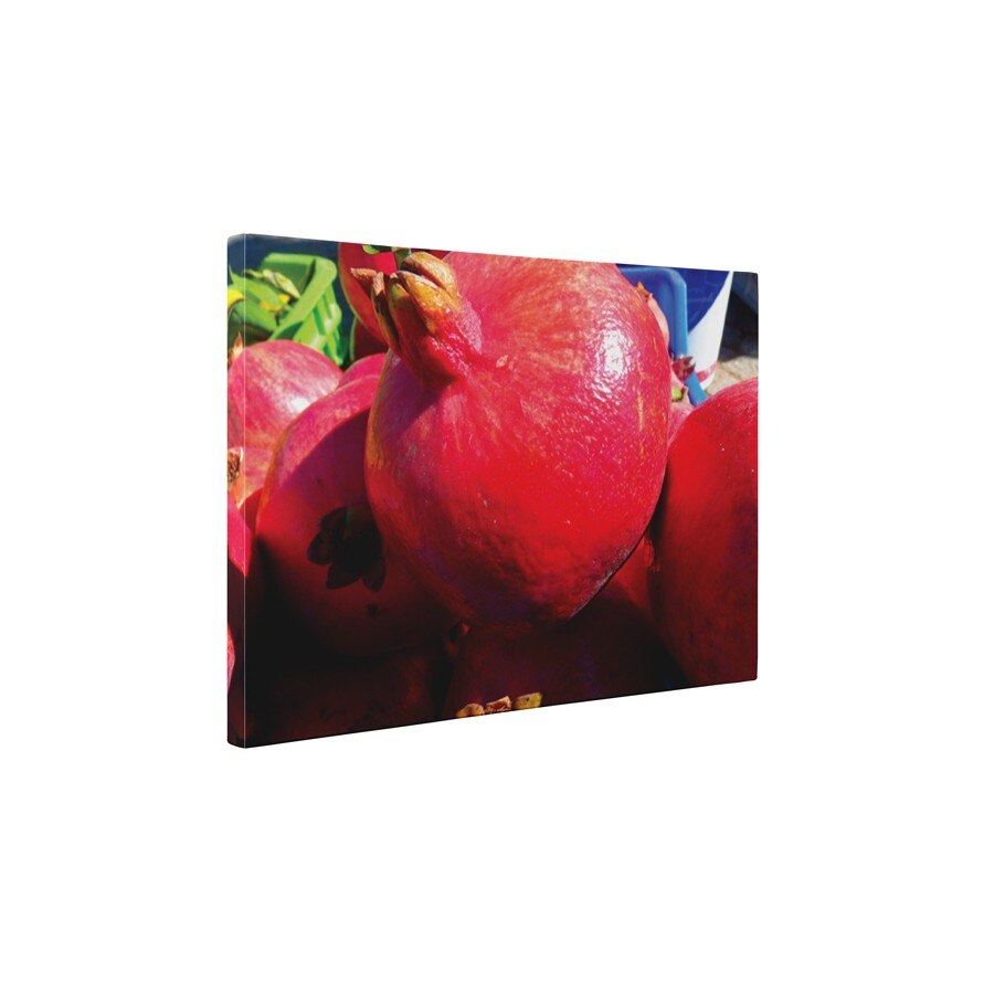 Rodie - Tablou Canvas - 60x75 cm