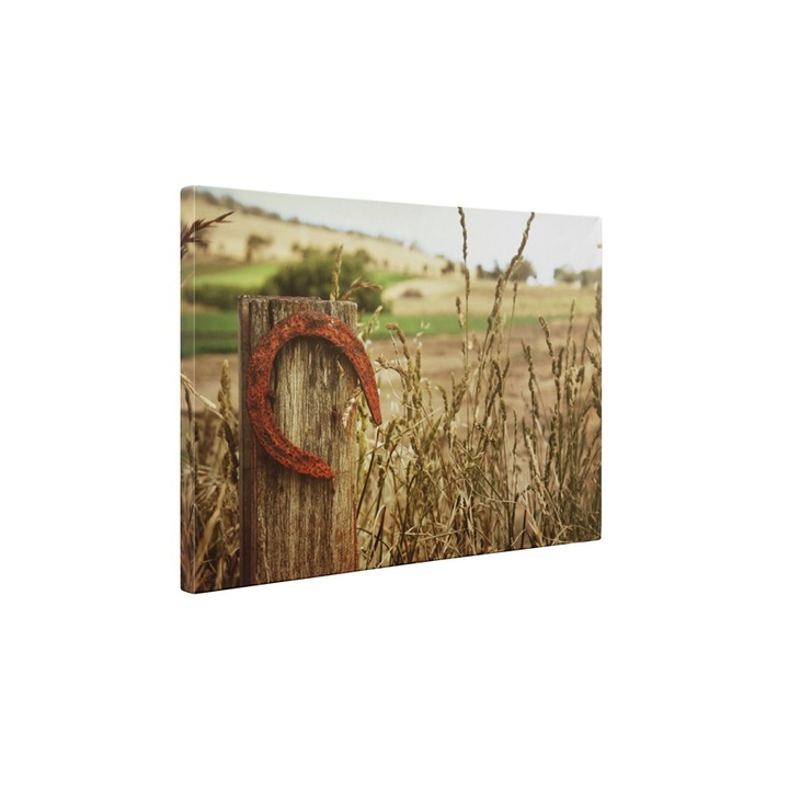 Potcoava ruginita - Tablou Canvas - 60x80 cm