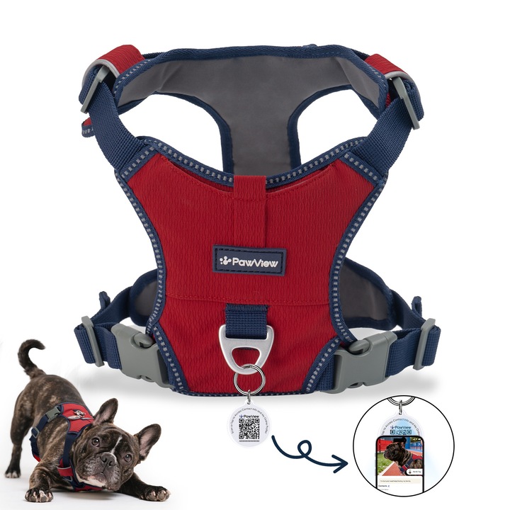 PawView® Ham Ultra-Light pentru Caini si Pisici, Burgundy Rosu, Nylon Respirabil Super Usor, Reglabil XS–L, cu Tag ID QR Smart Anti-Pierdere, D-ring Metalic, Catarama Rezistenta, Ideal pentru Plimbare si Dresaj