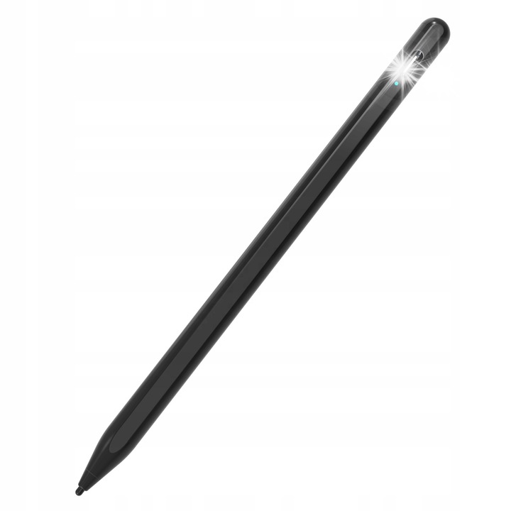 Rysik pentru iPad, cu 2 capete interschimbabile, negru, set complet
