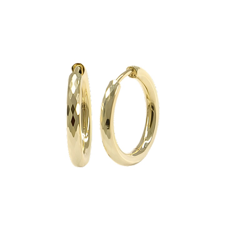 Cercei aurii PATTIC, 2,60 gr, cercuri