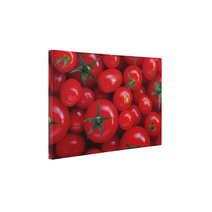 Rosii cocktail - Tablou Canvas - 50x65 cm