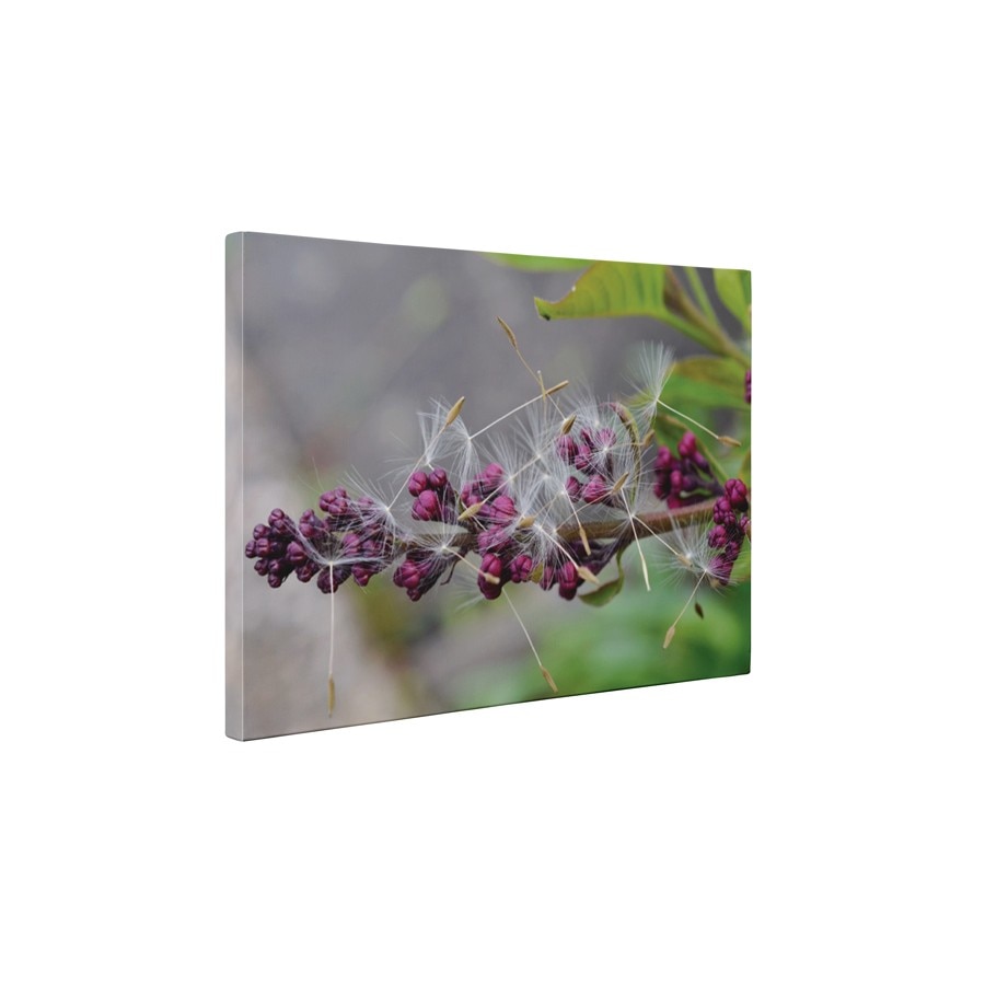 Liliac si papadie - Tablou Canvas - 60x80 cm