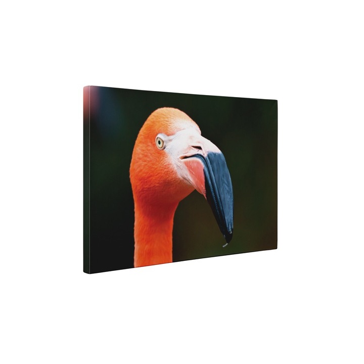 Flamingó portréja - Vászonfestmény - 85x110 cm