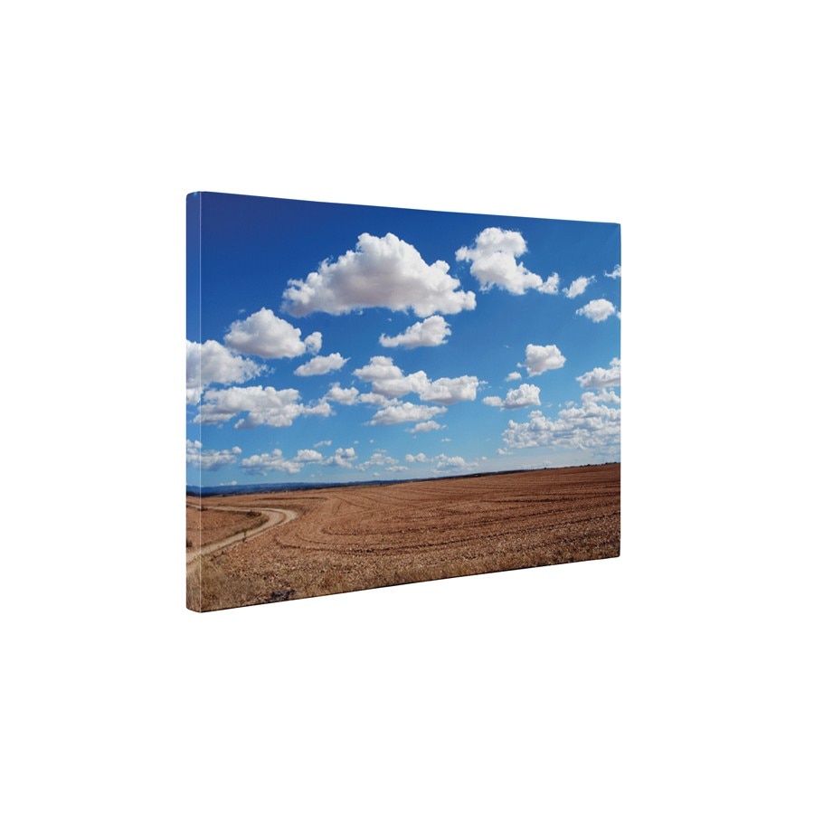 Dupa recoltare - Tablou Canvas - 65x85 cm