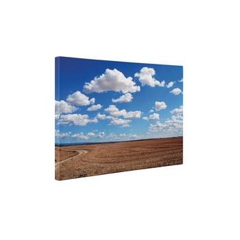 Dupa recoltare - Tablou Canvas - 85x110 cm Dupa recoltare - Tablou Canvas - 85x110 cm