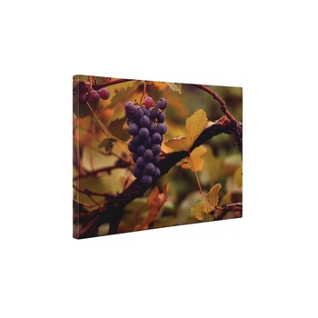 Vita de vie - Tablou Canvas - 65x85 cm Vita de vie - Tablou Canvas - 65x85 cm