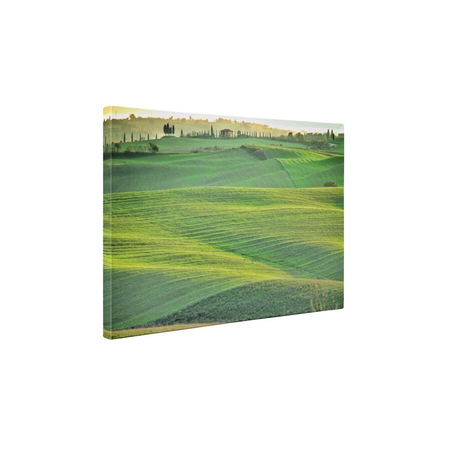 Campul verde - Tablou Canvas - 45x60 cm