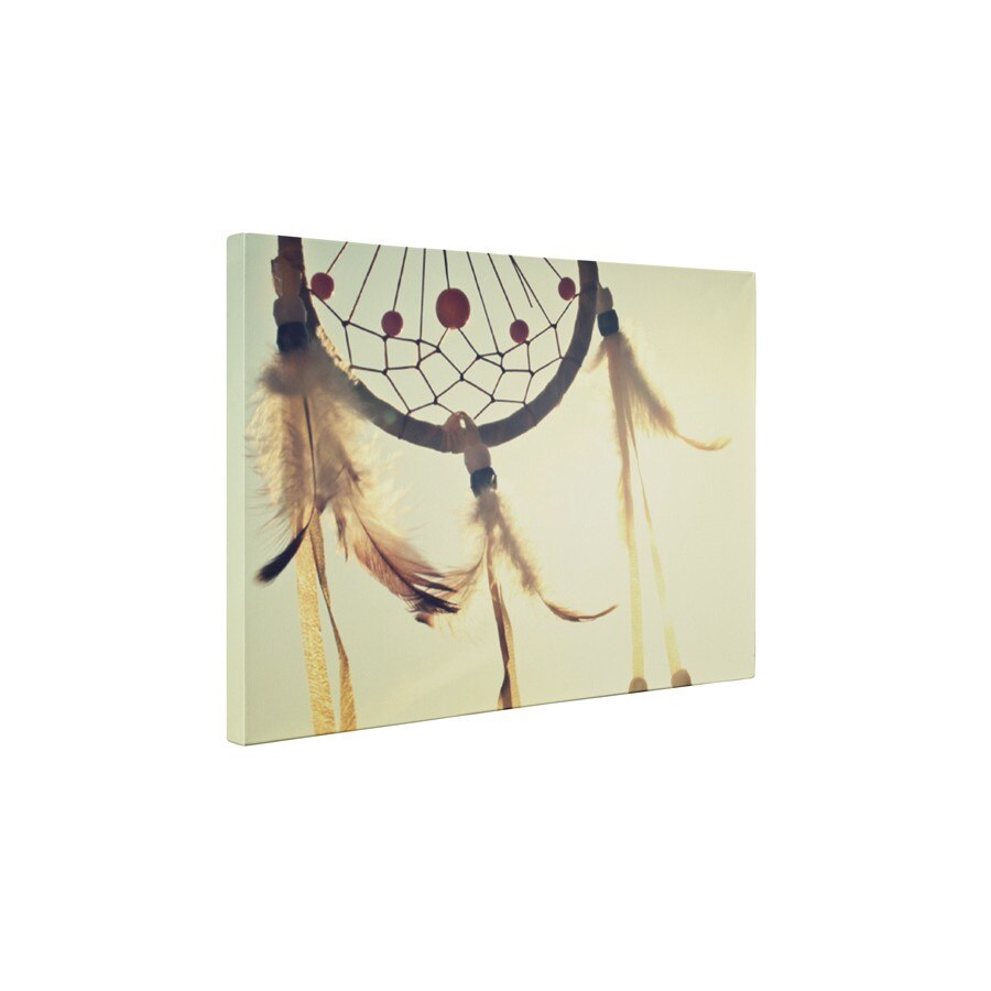 Dreamcatcher - Tablou Canvas - 30x40 cm