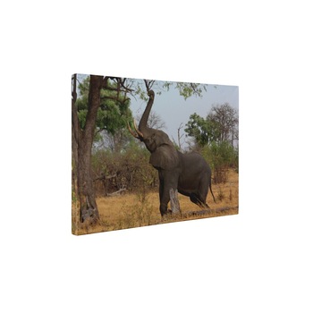 Elefantul - Tablou Canvas - 85x110 cm Elefantul - Tablou Canvas - 85x110 cm