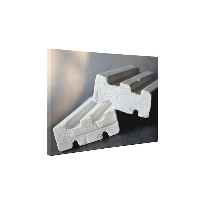 Radiere - Tablou Canvas - 45x60 cm