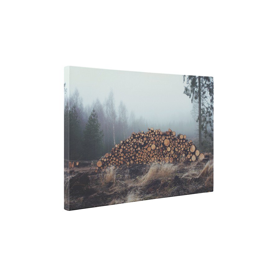 Exploatare forestiera - Tablou Canvas - 65x85 cm