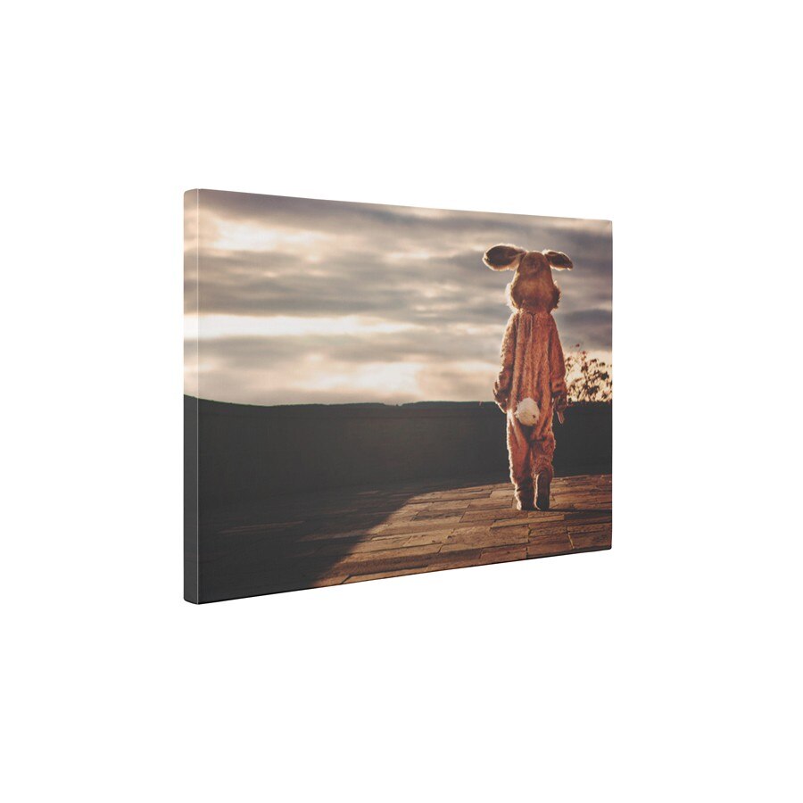 Iepurele singuratic - Tablou Canvas - 45x60 cm