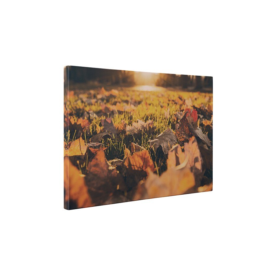 Avar - Tablou Canvas - 45x60 cm