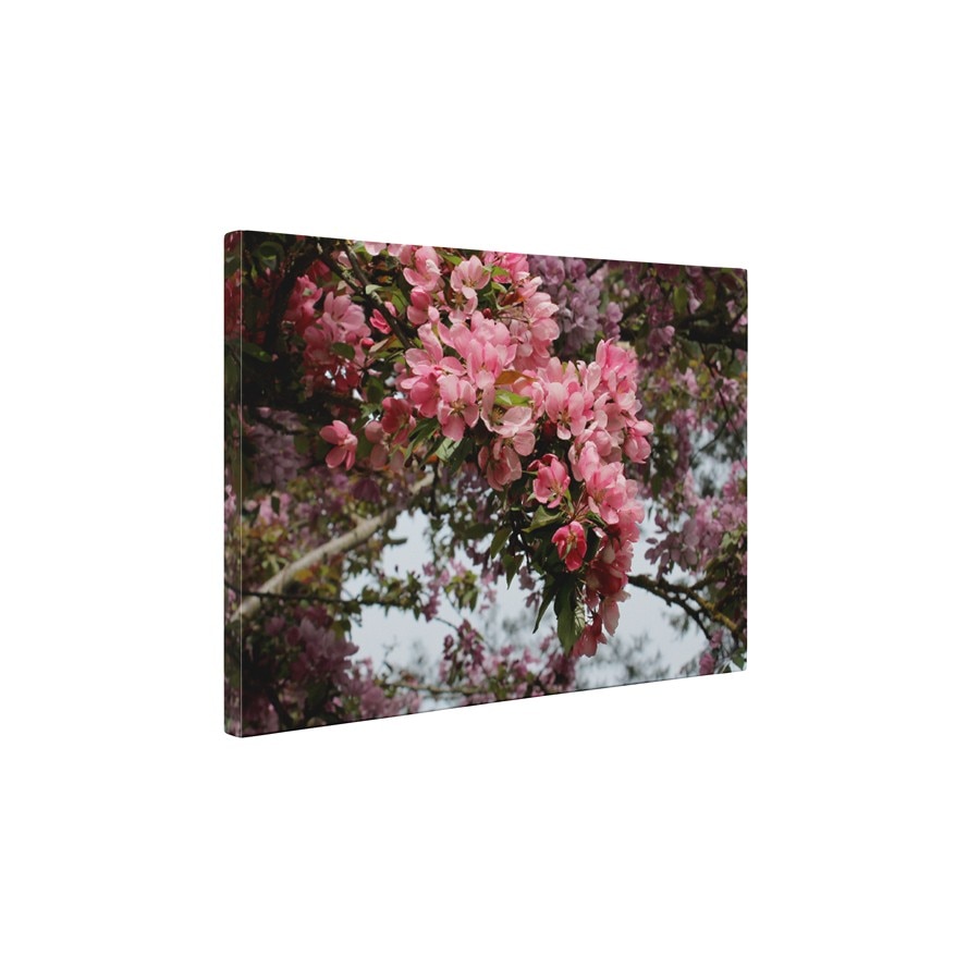 Natura inflorita - Tablou Canvas - 60x80 cm