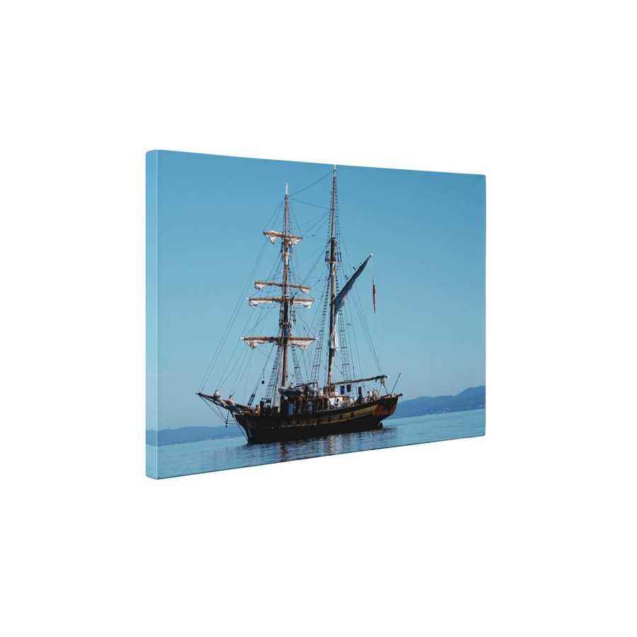 Nava - Tablou Canvas - 60x75 cm