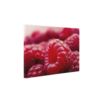 Zmeura - Tablou Canvas - 60x80 cm Zmeura - Tablou Canvas - 60x80 cm