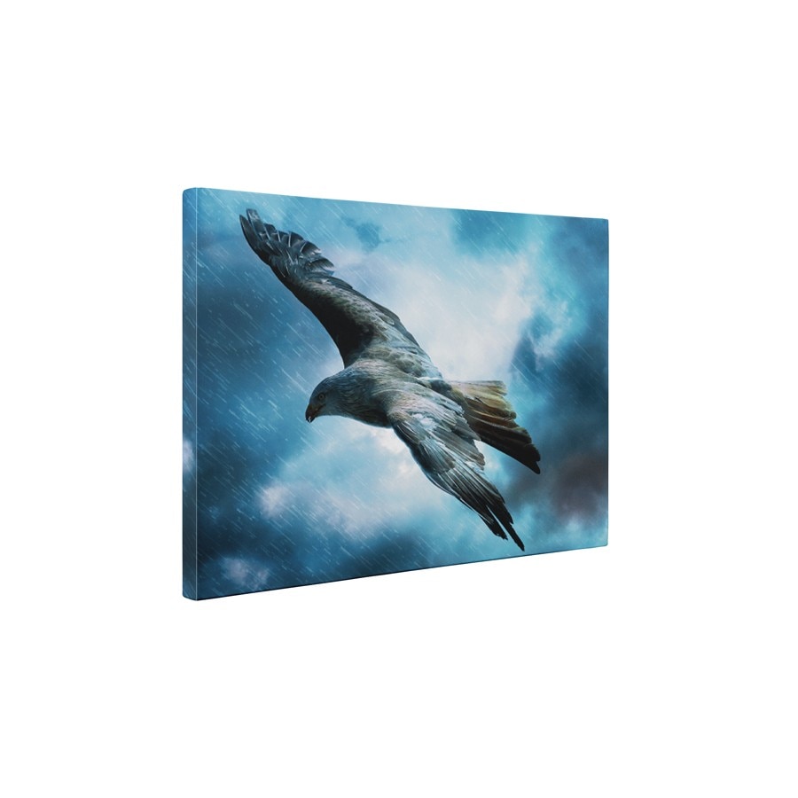 Soimul - Tablou Canvas - 60x80 cm