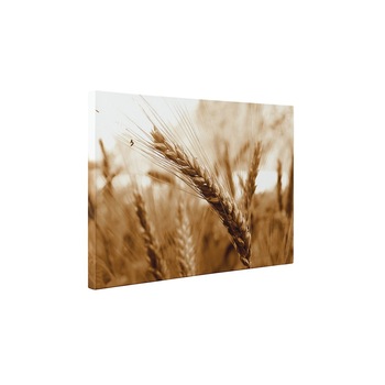 Grau - Tablou Canvas - 60x80 cm Grau - Tablou Canvas - 60x80 cm