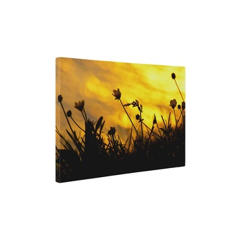 Floricele de camp - Tablou Canvas - 80x105 cm Floricele de camp - Tablou Canvas - 80x105 cm