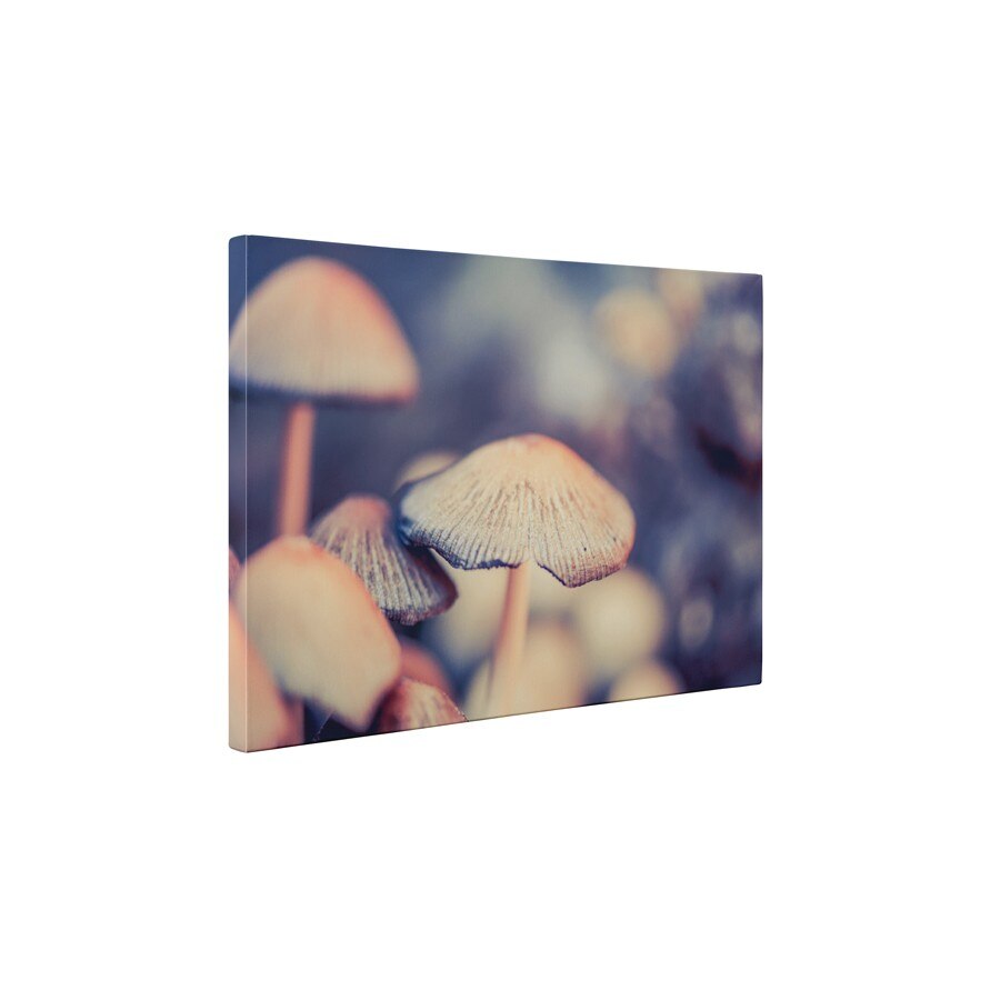 Ciuperci delicioase - Tablou Canvas - 65x85 cm
