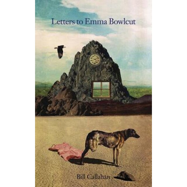 Letters to Emma Bowlcut, Bill Callahan (Author)