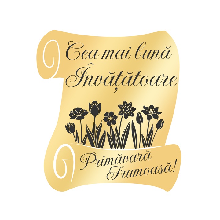 Martisor Brosa Inox Placat Aur 18K Scrisoare Diploma Dedicatie Invatatoare