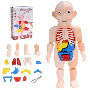 Jocuri si jucarii educative