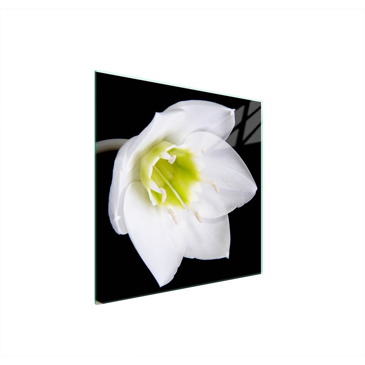 Placa de protectie din sticla pentru aragaz 50x52 cm, TMK ArtDeko, design modern, usor de curatat, multicolor