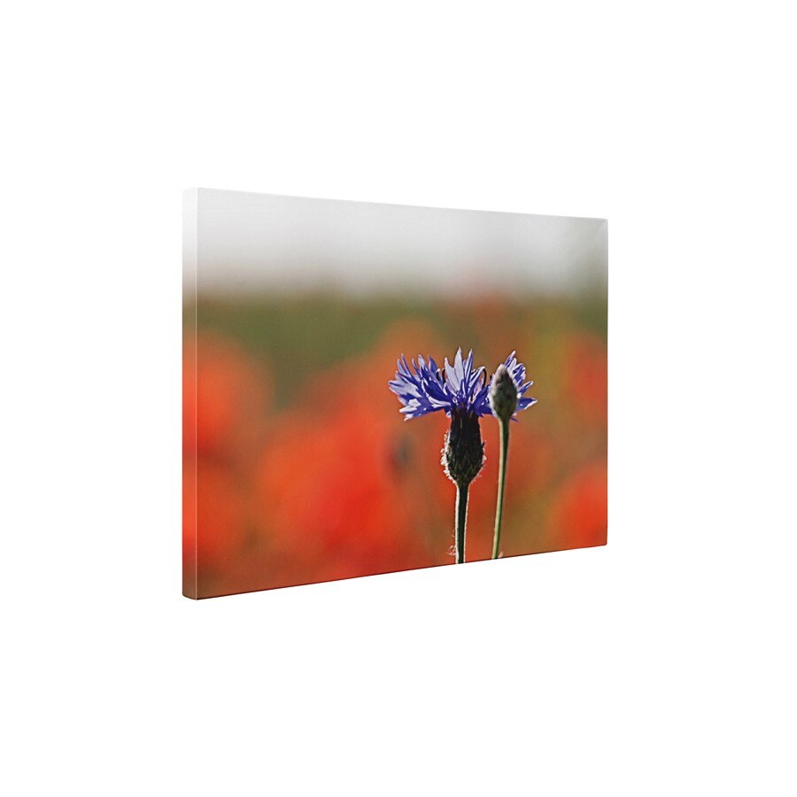 Floare mov - Tablou Canvas - 60x80 cm