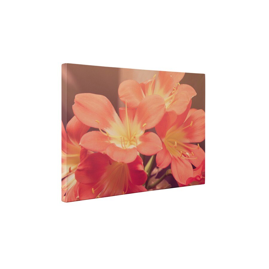 Floricele - Tablou Canvas - 60x75 cm