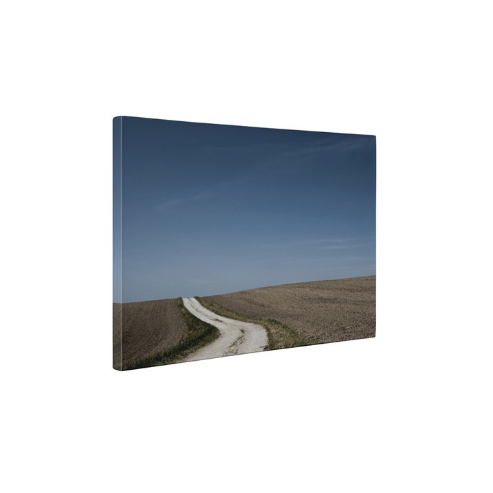 In mijlocul nimicului - Tablou Canvas - 80x105 cm