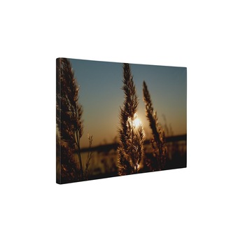 Apus de soare pe camp - Tablou Canvas - 50x65 cm Apus de soare pe camp - Tablou Canvas - 50x65 cm