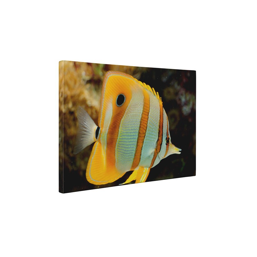 Pestisor - Tablou Canvas - 60x75 cm