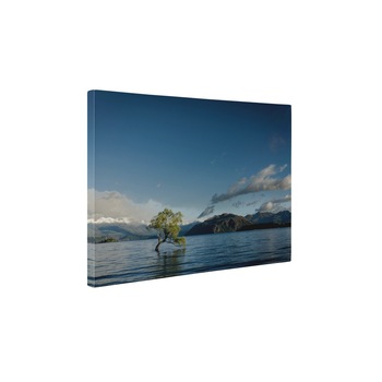 Copacul singuratic - Tablou Canvas - 50x65 cm Copacul singuratic - Tablou Canvas - 50x65 cm