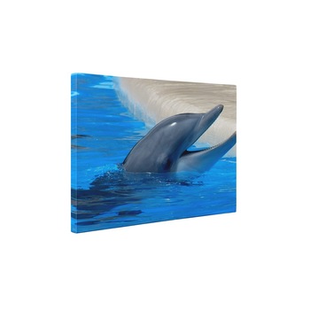Delfin - Tablou Canvas - 60x80 cm Delfin - Tablou Canvas - 60x80 cm