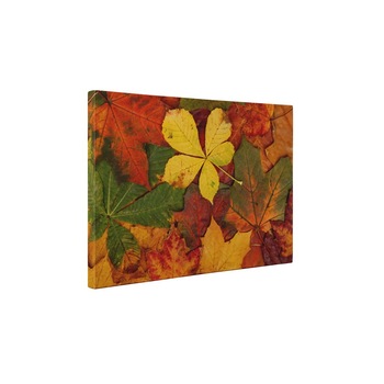 A venit toamna - Tablou Canvas - 85x110 cm A venit toamna - Tablou Canvas - 85x110 cm