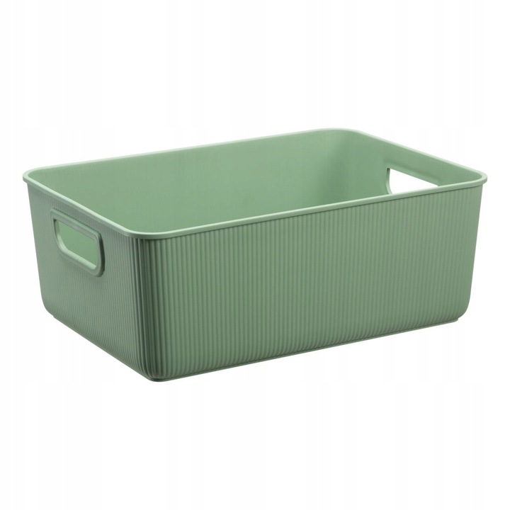 Кош за съхранение Plast Team Akita 10L, зелен, 100% рециклиран материал, с дръжки, компактен и издръжлив, идеален за организиране на домашни аксесоари, баня, офис или гараж, 1 бр