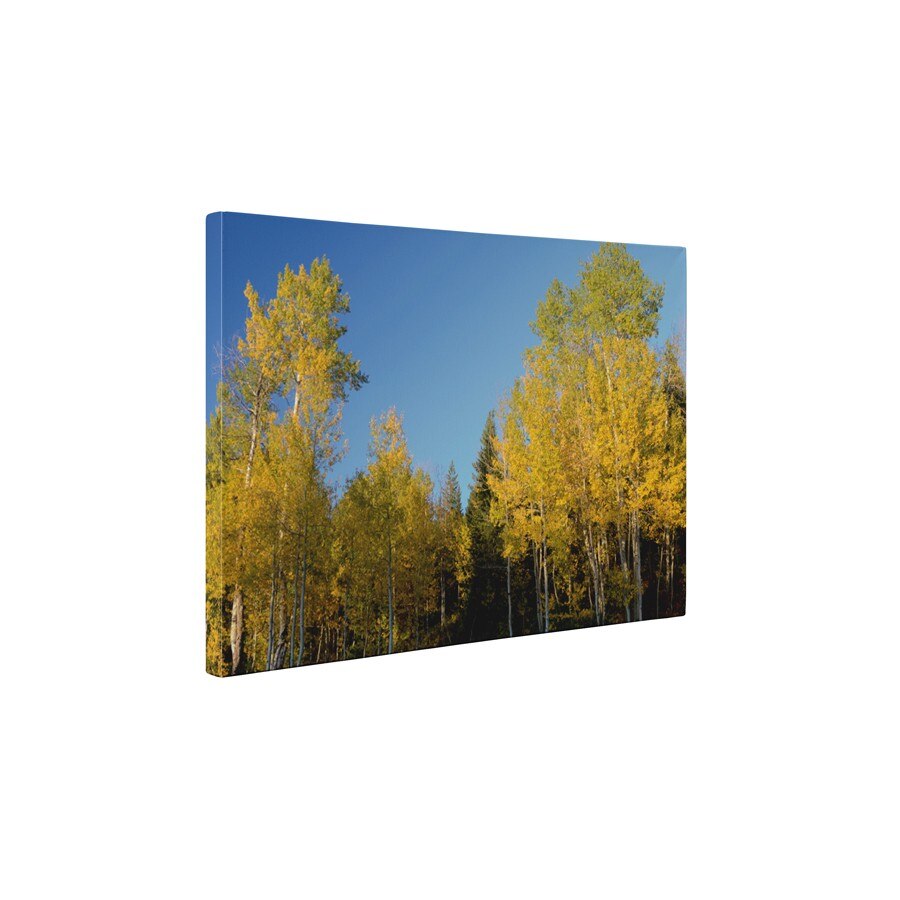 In padure - Tablou Canvas - 45x60 cm