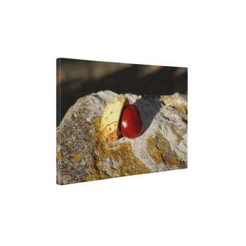 Castan - Tablou Canvas - 60x80 cm Castan - Tablou Canvas - 60x80 cm