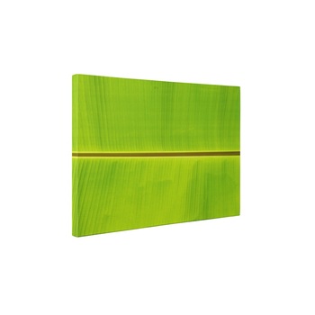 Simetrie naturala - Tablou Canvas - 25x35 cm Simetrie naturala - Tablou Canvas - 25x35 cm