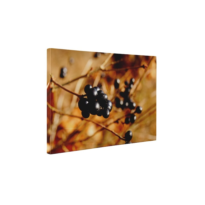 Feketeribizli vakrámás vászonkép - 20x25 cm