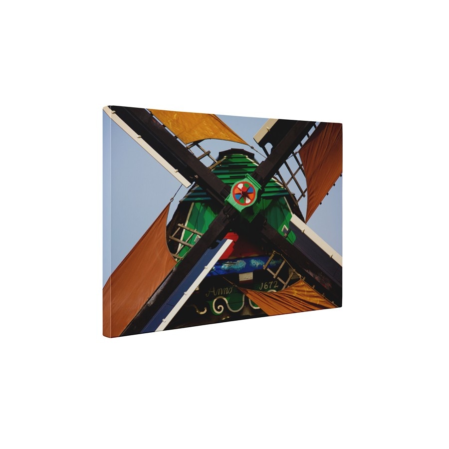 Moara colorata - Tablou Canvas - 45x60 cm