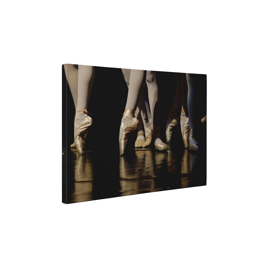 Balet - Tablou Canvas - 60x80 cm