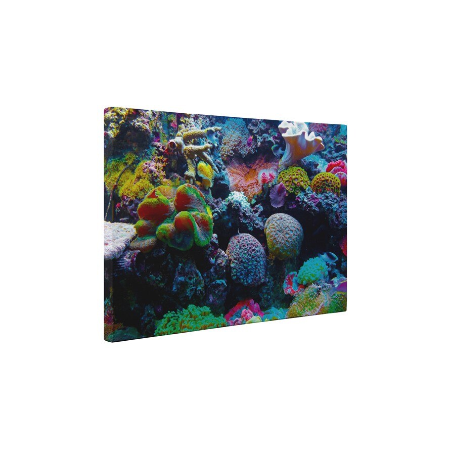 Viata subacvatica - Tablou Canvas - 85x110 cm